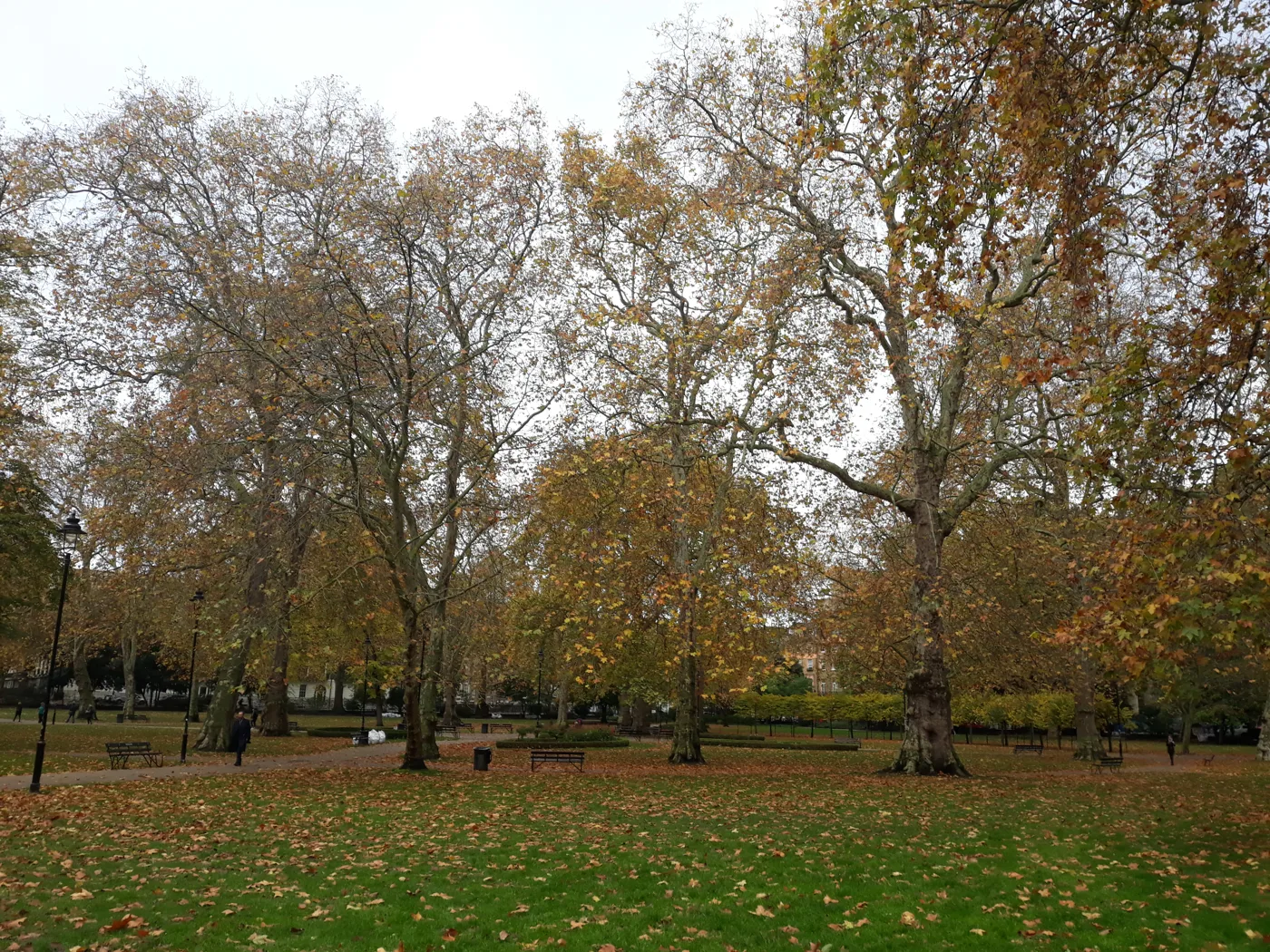 Russell Square Gardens in autumn, one of the festival's outdoor venues